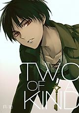 Cover image for the other called Shingeki no Kyojin - Two of a Kind (Doujinshi)