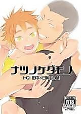 Cover image for the other called Haikyu!! - Beasts of Summer (Doujinshi)