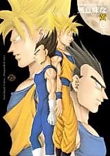 Cover image for the other called Meaningless Yellow (Dragon Ball)