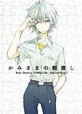 Cover image for the other called Shin Seiki Evangelion dj - Kami-sama no Himatsubushi