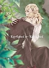 Cover image for the other called Hetalia dj - Kærlighed er Kærlighed