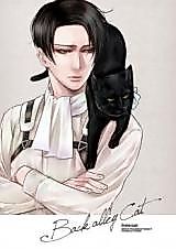 Cover image for the other called Shingeki no Kyojin - Back Alley Cat (Doujinshi)