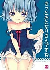 Cover image for the other called Touhou Project dj - Obviously the Neighbor
