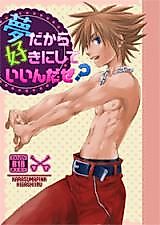 Cover image for the other called Kingdom Hearts dj - Yume Dakara Suki ni Shite iin daze?