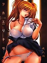 Cover image for the other called Shin Seiki Evangelion dj - Wokaerinasai