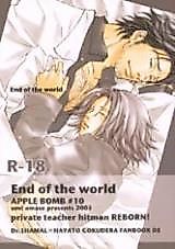 Cover image for the other called Katekyo Hitman Reborn! dj - The End of the World