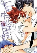 Cover image for the other called 家庭教師ヒットマンREBORN! - にょたツナ日記 (Dujinshi)