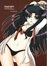 Cover image for the other called Fate/Stay Night dj - Restraint
