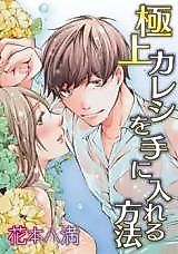 Cover image for the manga called How to Get Mr. Perfect