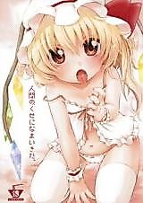Cover image for the other called Ningen no Kuse ni Namaiki da. (Touhou Project)