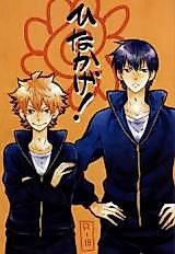 Cover image for the other called ハイキュー!! - ひなかげ!