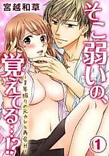 Cover image for the manga called Soko Yowai no, Oboeteru...!? - 8-nen Buri no Motokare to Saikai H