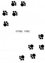 Cover image for the other called Jarinko Chie dj - Stone Free