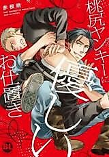 Cover image for the manga called Abunai Probation Officer and Mad Dog Yankee