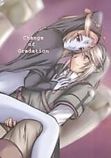 Cover image for the other called The Legend of Zelda dj - Change of Gradation