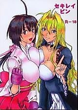 Cover image for the other called Sekirei dj - Sekireipin