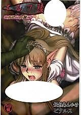 Cover image for the other called Dragon Quest IV dj - Ruby Tears