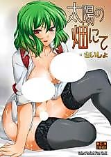 Cover image for the other called Touhou Project dj - Taiyou no Hatake nite Saisho