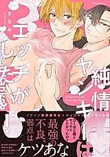 Cover image for the manga called Junjo Yankee wa H ga Shitai
