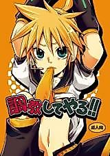 Cover image for the other called Vocaloid dj - Choukyou Shi te Yaru!!