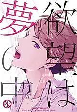 Cover image for the other called Haikyu!! dj - Yokubou wa Yume no Naka