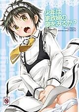 Cover image for the other called 少年は家政婦の夢を見るか? (少年メイド)