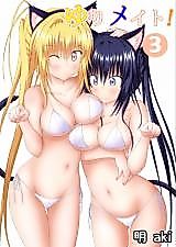 Cover image for the manga called Yuri Mate!