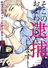 Cover image for the manga called Soko no Omawari-san, Taihoshimasu!