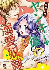 Cover image for the manga called Yanki Kare no Dekiai Dorei
