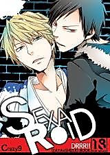 Cover image for the other called Durarara!! dj - Sexaroid