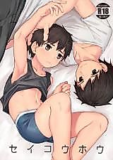 Cover image for the manga called Seikouhou