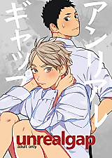 Cover image for the other called Haikyu!! dj - Unreal Gap
