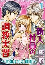 Cover image for the manga called Shinnyuu Shain no Choukyoujitsu