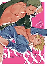 Cover image for the other called One Piece dj - Secret XXX