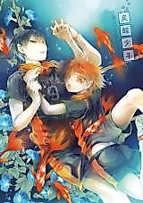 Cover image for the other called Haikyuu!! - Tansan Shounen (Doujinshi)
