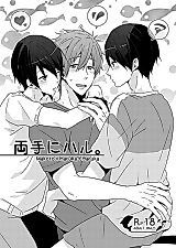 Cover image for the other called Free! dj - Ryote ni Haru.