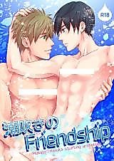 Cover image for the other called Free! dj - Shiofuki no Friendship