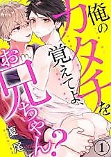 Cover image for the manga called Ore no Katachi wo Oboete yo, Onii-chan?