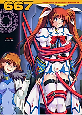Cover image for the other called Mahou Shoujo Lyrical Nanoha StrikerS dj - 667