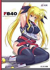 Cover image for the other called Nanoha dj - F840