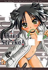 Cover image for the other called Strike Witches dj - Bird Strike!