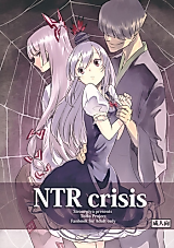 Cover image for the other called Touhou Project dj - NTR Crisis