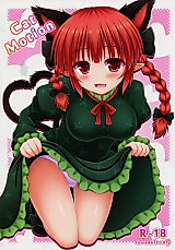 Cover image for the other called Touhou Project dj - Cat Motion