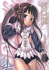 Cover image for the other called Atelier Totori dj - Nectar