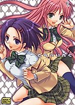 Cover image for the other called To Love-ru - Trouble dj - Traveling