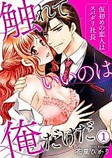 Cover image for the manga called Fureteii no wa Ore Dakeda ~Kari Hajime no Koibito wa Supadari Shachou~