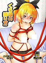 Cover image for the other called Touhou Project dj - Kumo Musume no Shibarihou