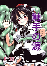 Cover image for the other called Touhou Project dj - Shokushu no Minamoto