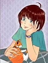 Cover image for the manhua called Cat on the Road