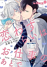 Cover image for the manga called Love Sickness After Work